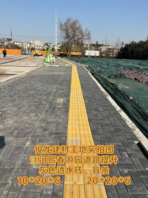 瀍河熙春游園道路提升 （灰色透水磚、盲條）